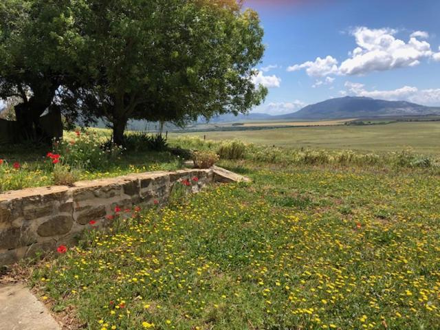 Casa De La Golondrina Villa Tarifa Eksteriør bilde